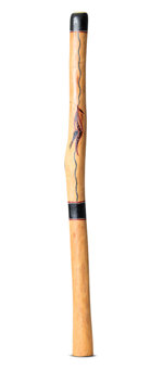 Small John Rotumah Didgeridoo (JW1349)